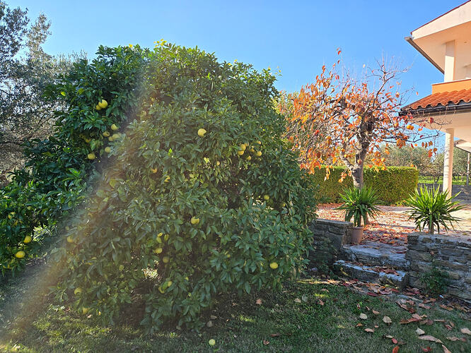 image_cropper_1762519762691