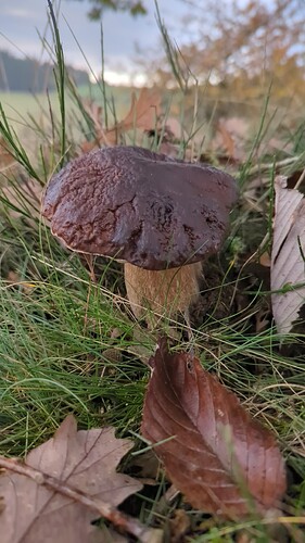 image_cropper_1761031358867