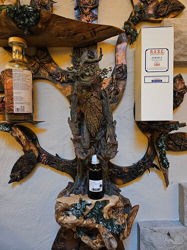 image_cropper_1766758615625