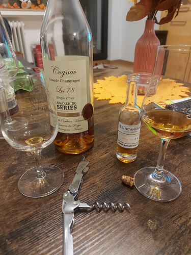 17631510196823273574605352251518